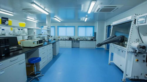 中深装精品工程丨深圳出入境检验检疫局食品卫生监督实验室改造工程